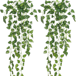 Artificial Hanging - Pearls Green Ivy